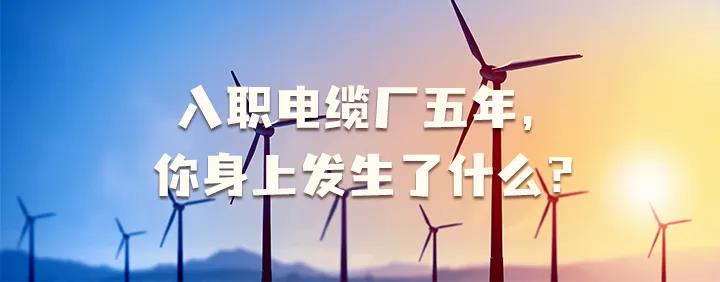 入職電纜廠五年，你身上發(fā)生了哪些變化~